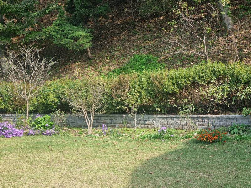 235149625_AlIUgktw_0625b4c081952d4e28fbfbb6d68c47ce16e5796b.jpg 이미지크게보기